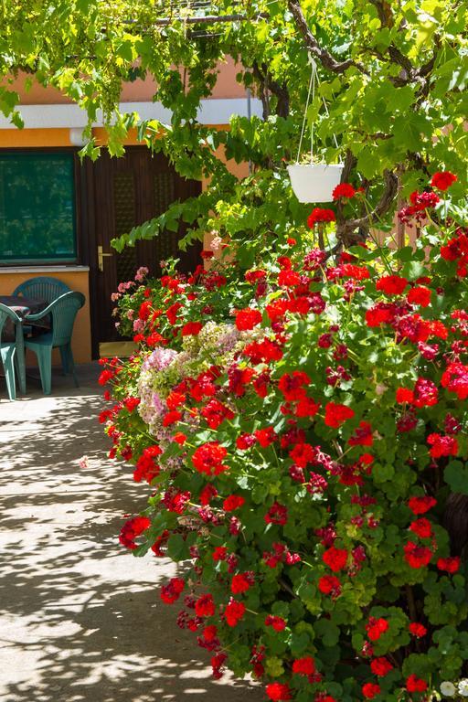 Apartments Stefanovski Paradiso Veli Losinj Phòng bức ảnh